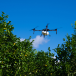 Virtudes de un Piloto de Drone Agrícola